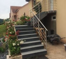 Les rosiers en fleurs