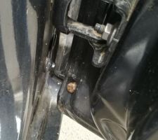 Escargot dans la Mégane inondée