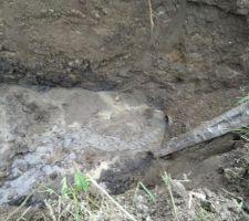 Pour l'instant, le terrassier a juste pos&eacute; un drain passant sur tout le c&ocirc;t&eacute; du terrain. L'eau commence d&eacute;j&agrave; &agrave; s'&eacute;couler de la moiti&eacute; de la maison jusqu'aux eaux us&eacute;es. C'est l&agrave; qu'on se rend compte de la quantit&eacute; d'eau qui sort de la terre...