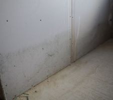 Problème de placo inondé dans la buanderie