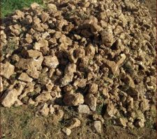 Des cailloux des cailloux toujours des cailloux qui en veut ?