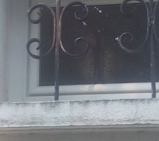 Barreaux salle de bain