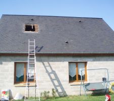Velux