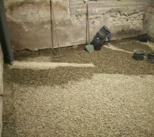 H&eacute;risson de la future cuisine RDC
Les &eacute;vacuations