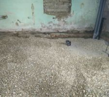 H&eacute;risson de la future cuisine RDC
Une belle montagne apr&egrave;s quelques jours de boulot. Sceau par sceau et on am&egrave;ne les cailloux du haut du terrain jusqu'&agrave; la fen&ecirc;tre