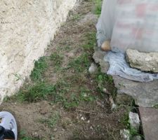 H&eacute;risson de la future cuisine RDC
La sortie de la cuisine est ici (emplacement d'ou est prise la photo) il faudra rejoindre le tuyau d'arrosage qui se repique sur le tout &agrave; l'&eacute;gout