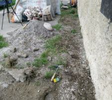 H&eacute;risson de la future cuisine RDC
La sortie de la cuisine est ici (emplacement d'ou est prise la photo) il faudra rejoindre le tuyau d'arrosage qui se repique sur le tout &agrave; l'&eacute;gout