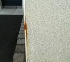 Rouille milieu de baguette