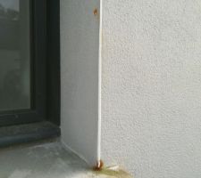 Rouille milieu et extrémité de baguette