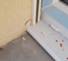 Crépi abîmé dans la bas de la baie vitrée