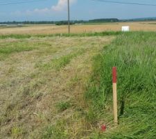 Pose des piquets pour définir l'implantation