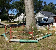 Pas touche à mon chêne ! :) déjà abîmé deux fois par la grue d'un constructeur :(
