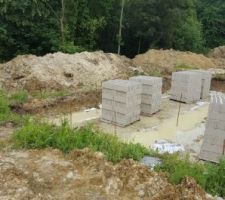 Le vide sanitaire se fait attendre