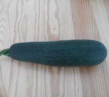 Courgette du jardin