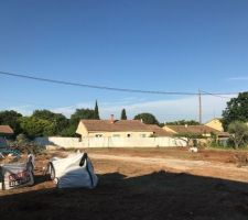 Oliviers d&eacute;plac&eacute;