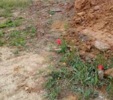Le géomètre a posé les piquets rouges pour l'implantation de la maison.