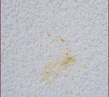 Date jaune sur l'enduit apparu 2 semaines après le mise en place de celui ci
