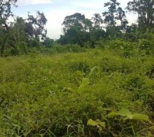 Diff&eacute;rentes vues du terrain