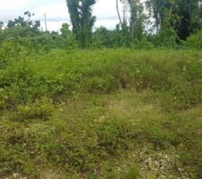 Autre vue du terrain