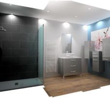 Projet de Salle de Douche