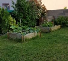 Carrés potager version 2018, le démarrage