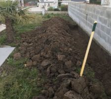 Creation d'une barrière anti roseaux en béton.. (en vue de planter bambous)