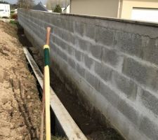 Creation d'une barrière anti roseaux en béton.. (en vue de planter bambous)