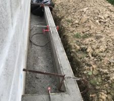 Creation d'une barrière anti roseaux en béton.. (en vue de planter bambous)