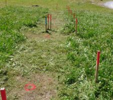 Travaux de topographie, pour l'implantation des pieux par Technopieux ; un bon coup de rotofil d'abord.