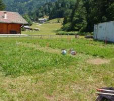 Travaux de topographie, pour l'implantation des pieux par Technopieux ; un bon coup de rotofil d'abord.