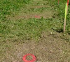 Travaux de topographie, pour l'implantation des pieux par Technopieux ; un bon coup de rotofil d'abord.