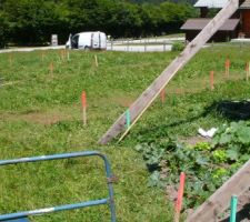 Travaux de topographie, pour l'implantation des pieux par Technopieux ; un bon coup de rotofil d'abord. Et le jardin pousse, c'est vert !