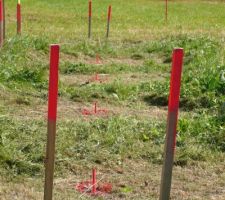 Travaux de topographie, pour l'implantation des pieux par Technopieux : petits piquets fer bien alignés.