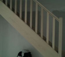 Escalier posé