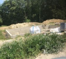 Vide sanitaire en cours  !