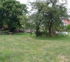 Vue du terrain au moment de son acquisition. Il faudra sacrifier les cerisiers sauvages pour que les engins de travaux puissent passer, puis en replanter...