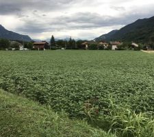 Notre parcelle &agrave; lotir