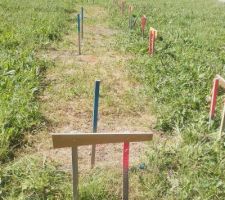 Implantation finale pour les pieux viss&eacute;s Technopieux.