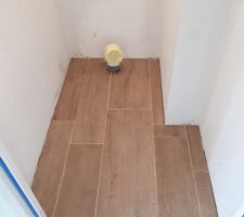 Carrelage WC, rdc, imitation parquet, satisfaite du produit mais également des poseurs en Seine et Marne