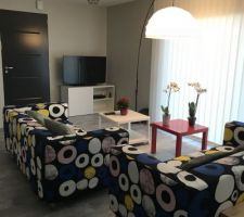 Salon en 2 vue