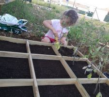 Mise en place du potager ! Activité du Dimanche.