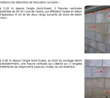 Fissures (absence de chainage et/ou malfaçon des fondations)