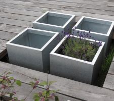 Pots zinc cubiques