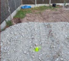 Implantation par g&eacute;om&egrave;tre