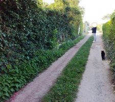 Voie d'accès - chemin non carrossable