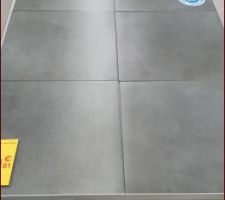 Choix carrelage pour tout le rez de chaussé ( gris effet béton)