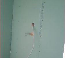 Futur emplacement du lavabo et du lave linge dans la salle de bain