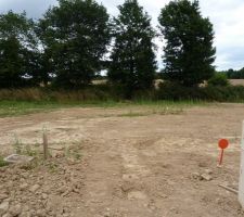 C&ocirc;t&eacute; Est, un talus de ch&ecirc;nes.