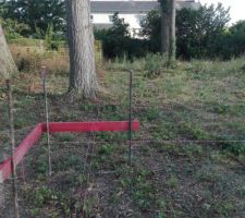 Implantation de la maison. Coté gauche. Pas loin de l'arbre de la voisine