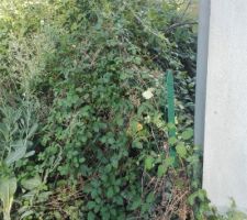 Pas facile de voir la borne du fond droit